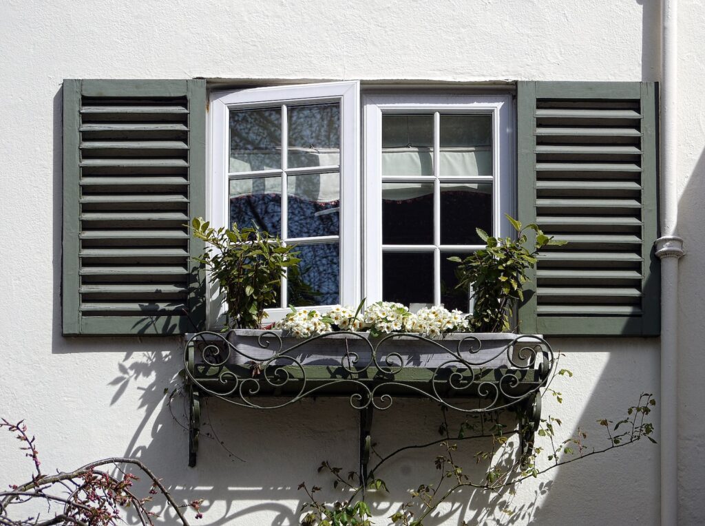 white-flowering plant near glass window